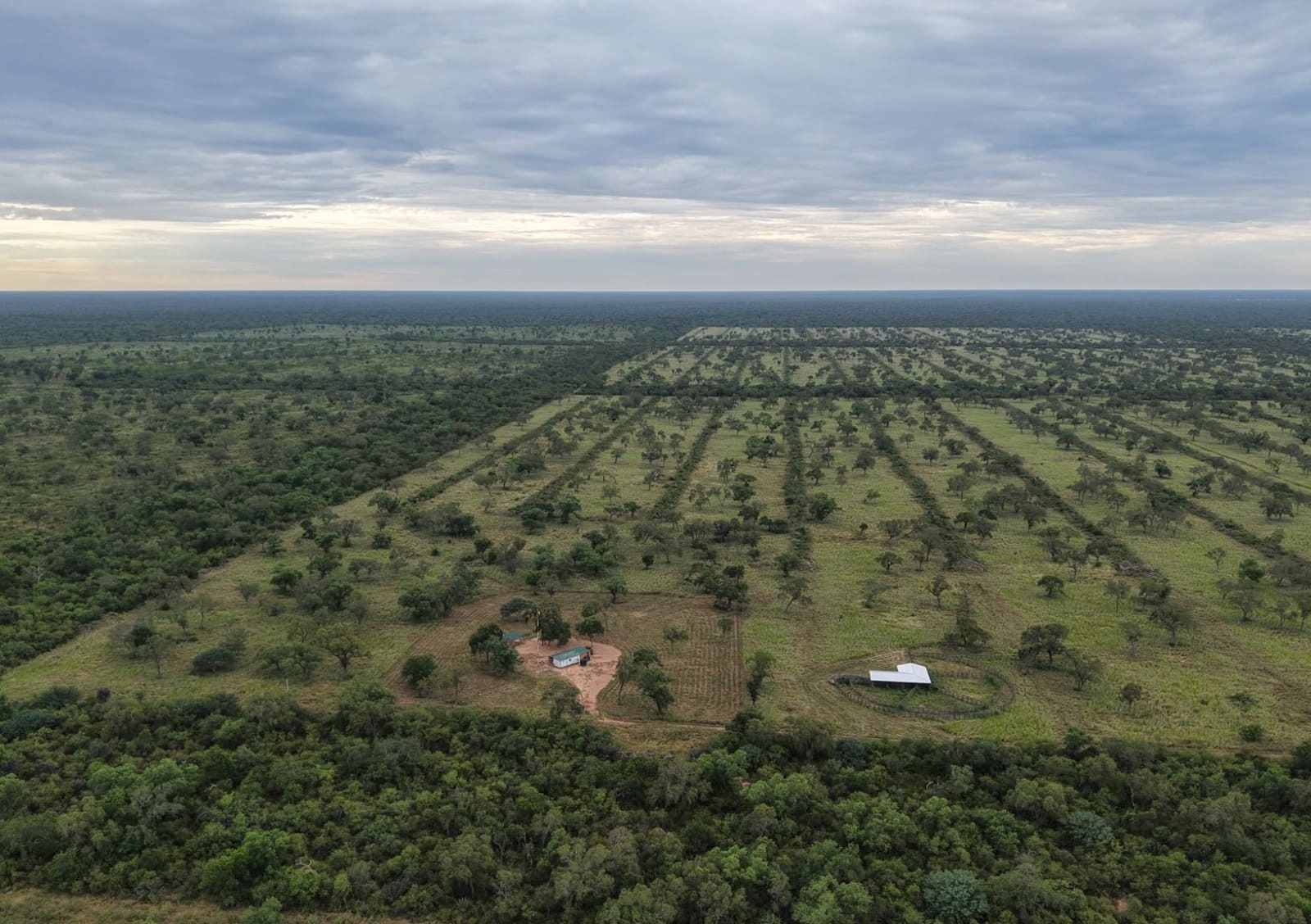 Estancia ganadera en Nueva Asunción, Boquerón