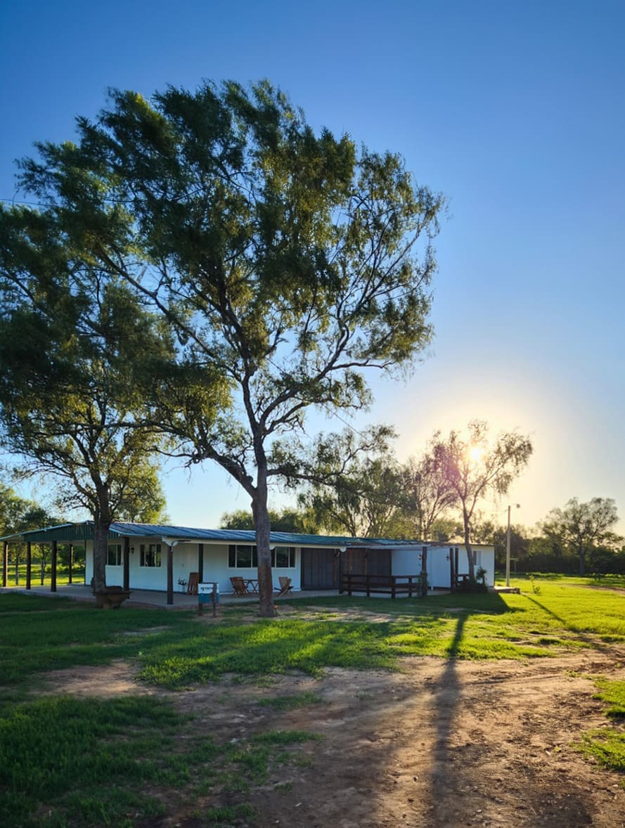 Pastura del campo ganadero